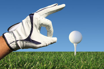 Sponsor Image